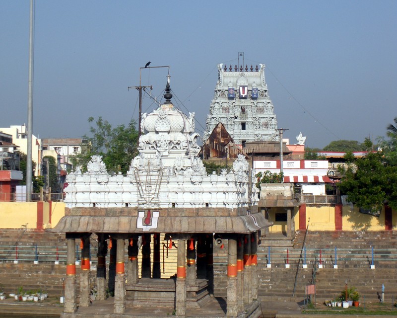 Sri Parthasarathy swamy Temple in Chennai